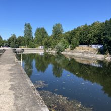 Opuszczony basen na Oporowie, Wrocław, województwo dolnośląskie - relacja z 08.2026, zdjęcie 4