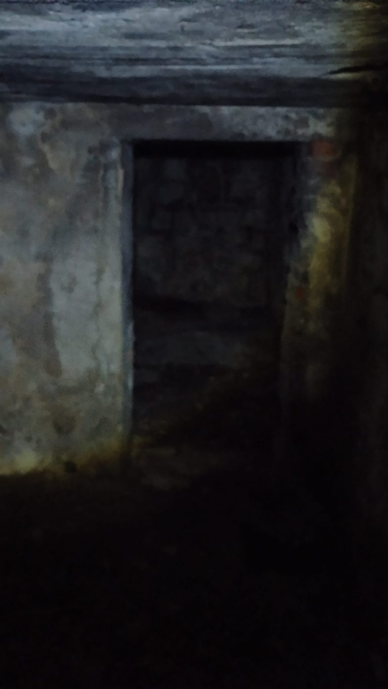 Stara przechowalnia na terenie dawnego gospodarstwa, Goleszów, województwo śląskie - zdjęcie 1