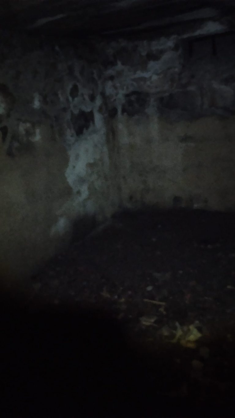 Stara przechowalnia na terenie dawnego gospodarstwa, Goleszów, województwo śląskie - zdjęcie 2