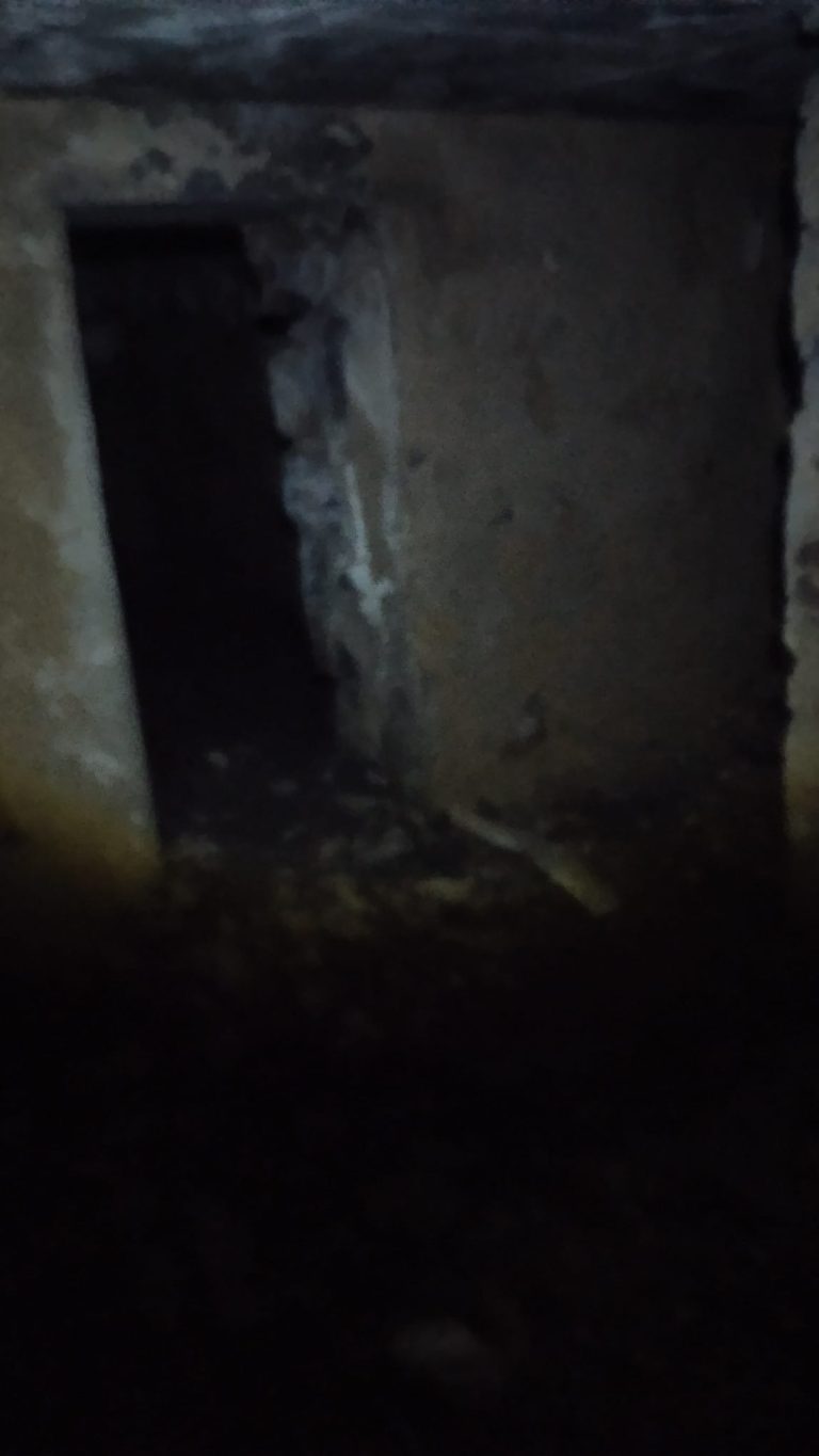 Stara przechowalnia na terenie dawnego gospodarstwa, Goleszów, województwo śląskie - zdjęcie 3