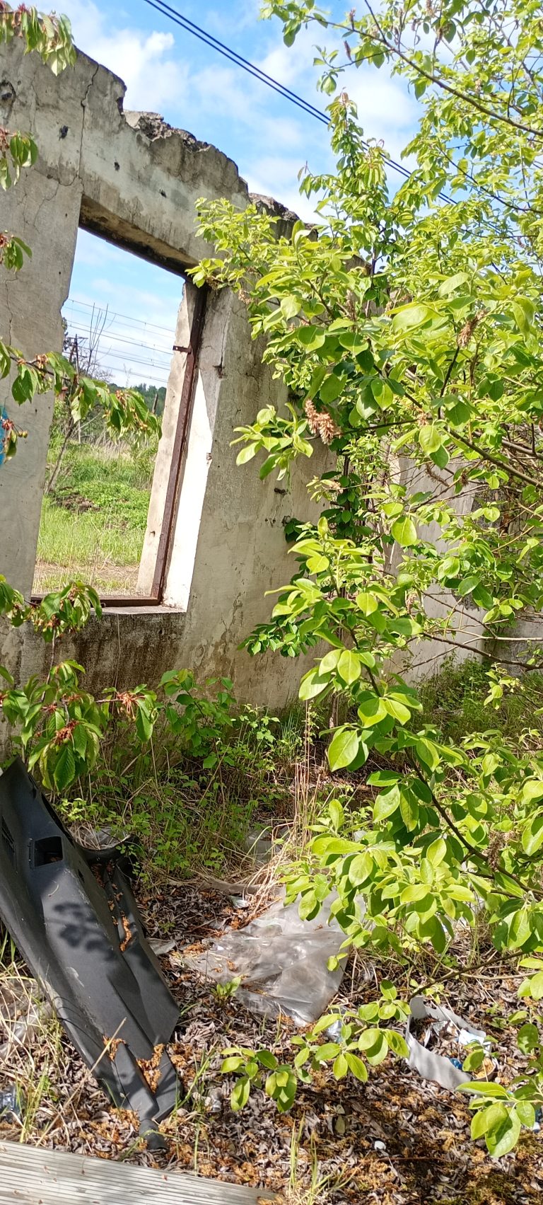 Opuszczony budynek zaplecza towarowego, Goleszów, województwo śląskie - zdjęcie 2