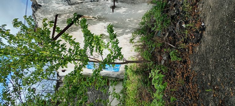 Opuszczony budynek zaplecza towarowego, Goleszów, województwo śląskie - zdjęcie 3