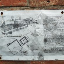 Ruiny Pałacu Opalińskich w Radlinie, Cielcza, województwo wielkopolskie - relacja z 08.2026, zdjęcie 13