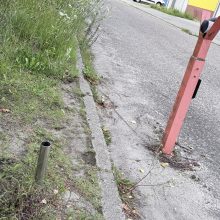 Polifarb, Gdynia, województwo pomorskie - relacja z 08.2026, zdjęcie 6
