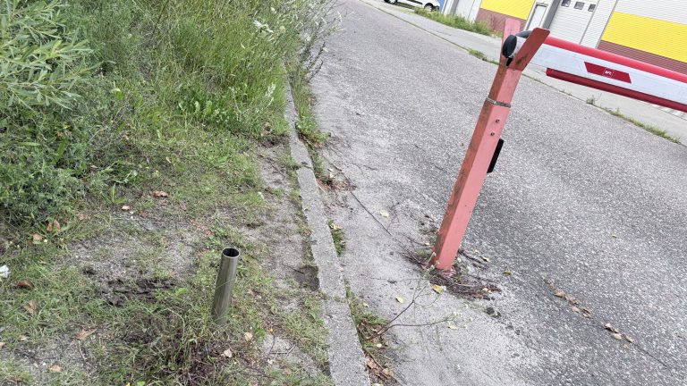 Polifarb, Gdynia, województwo pomorskie - relacja z 08.2026, zdjęcie 6
