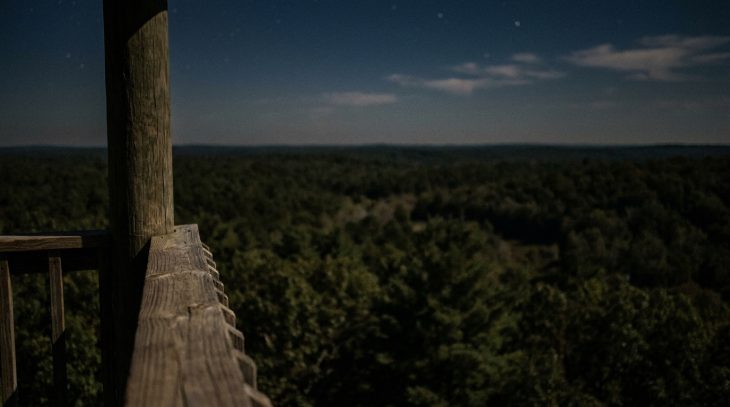 Termowizja podczas nocnej eksploracji terenu